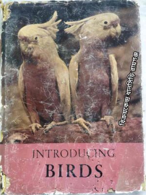 Introducing Birds Photographs & Text by- V.J. Stanek Translated by- George Theiner