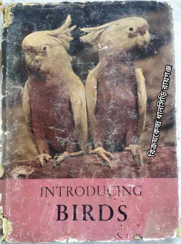 Introducing Birds Photographs & Text by- V.J. Stanek Translated by- George Theiner