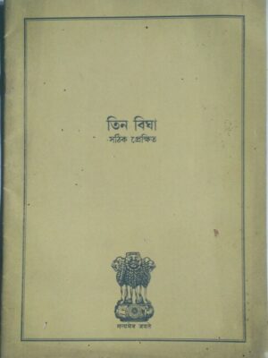 তিন বিঘা‌ সঠিক প্রেক্ষিত
