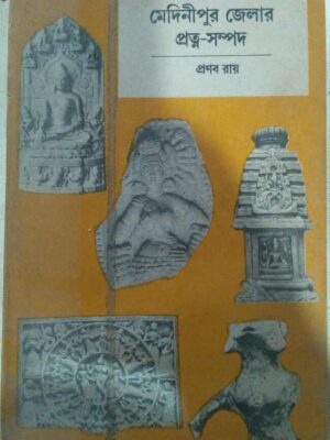 মেদিনীপুর জেলার প্রত্ন সম্পদ -প্রণব রায়