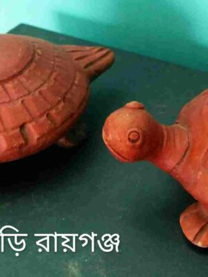 কচ্ছপ