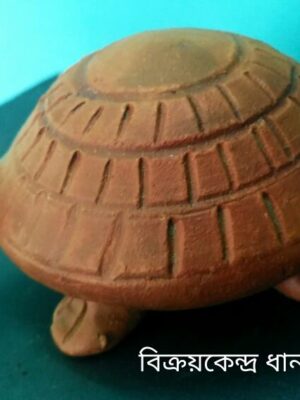 কচ্ছপ