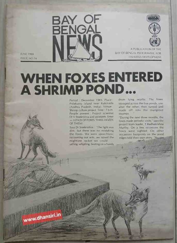 Bay of Bengal News    -June 1984    -A Publication Of The Bay Of Bengal Programme For Fisheries Development